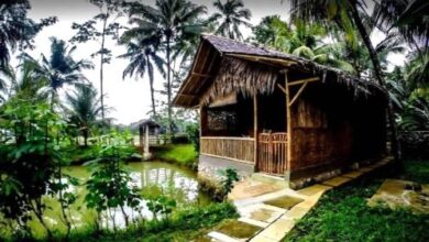 Bale Ku Resort Pangandaran adalah destinasi menginap yang menghadirkan ketenangan dan keindahan desa yang tak terlupakan di Desa Wonoharjo, Pangandaran, Jawa Barat.