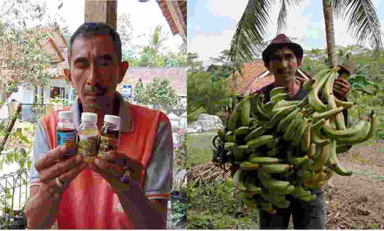 Poktan Sugih Mukti Desa Handapherang Ciamis Kembangkan Nutrisi Hayati Cair