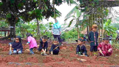 Menengok Serunya Anak-anak PAUD Belajar Menanam Sayuran di Agrowisata Leuwi Keris Ciamis